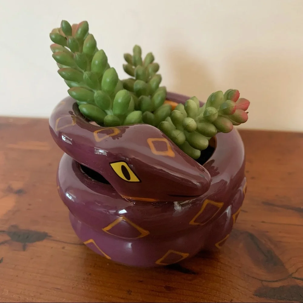 NIB Target Halloween Snake Succulent Planter